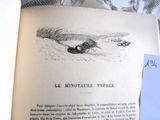 un livre ouvert sur lequel figure le dessin d'un homme sur une planche de surf