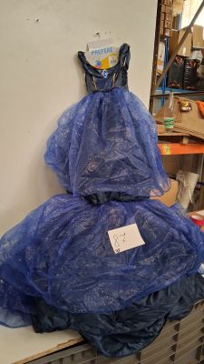 Lot de 9 déguisements enfants type princesse, coloris bleu, …