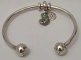 un gros plan d'un bracelet en argent orné de deux breloques