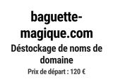 Photo 1/1 du lot