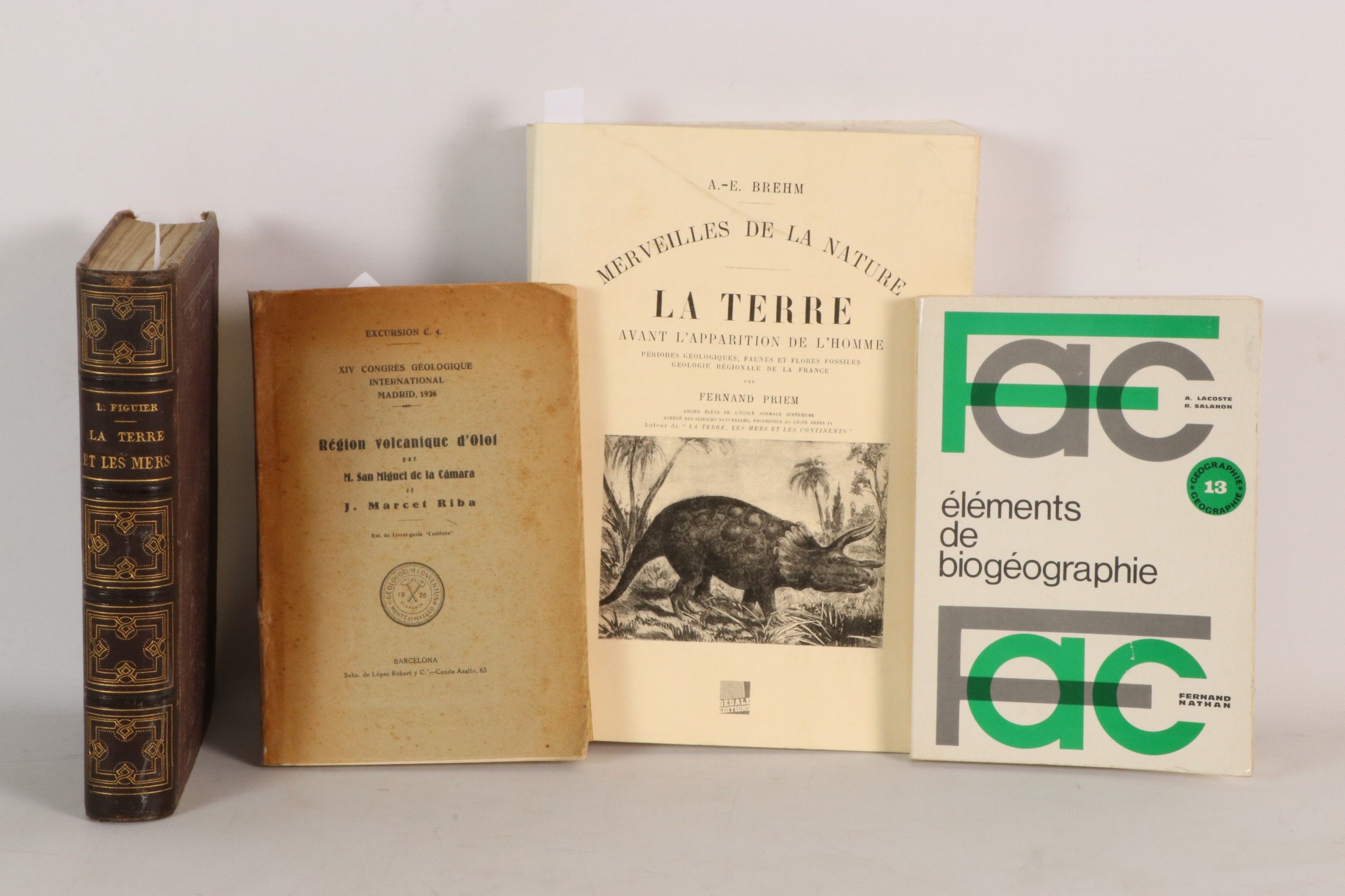 [GEOLOGIE] Lot de 3 ouvrages : - SAN MIGUEL DE LA CAMARA M.