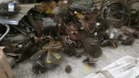 - 1 Gros lot de hérissons de nettoyage. (photo 2)