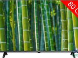 a picture of a picture of a tv with a bamboo tree on the screen