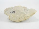 a small white flower shaped object on a white surface
