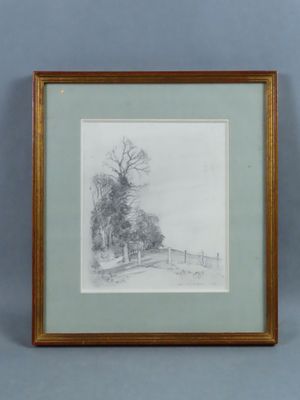 a pencil drawing of a landscape with trees and a fence