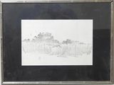 a black and white drawing of trees in a field