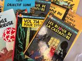 Photo 11/18 du lot
