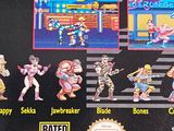 a back cover of a video game with a bunch of characters on it