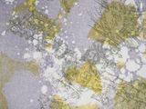 a picture of a picture of a yellow and gray background