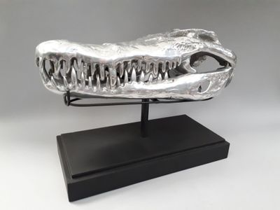 TÊTE DE CROCODILE En métal poli sur un présentoir noir mat 1…