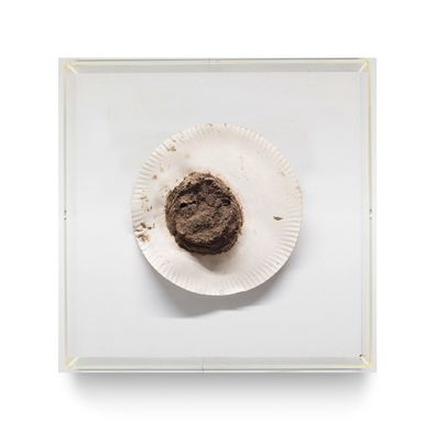 a chocolate muffin on a paper plate on a white surface