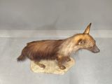 a stuffed dog that is sitting on a rug