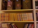beaucoup de livres sur les étagères de la pièce