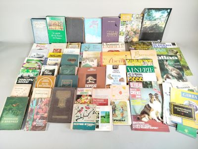 un grand nombre de livres posés sur une table