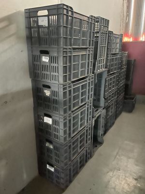 Sur tout le site, environ 800 caisses grises en plastique gr… - Photo 1