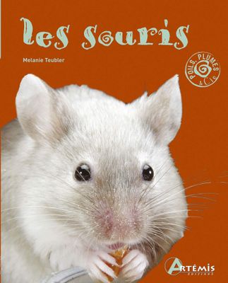une photo d'une souris en train de manger un morceau de nourriture