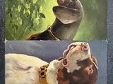 two pictures of a dog with a collar and a dog with a collar
