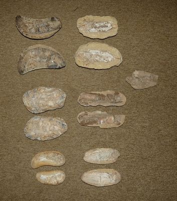 plusieurs types de roches et de pierres sur une surface brune