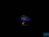 an image of a fish in the dark with a light on