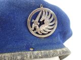 a blue hat with a silver bird on it