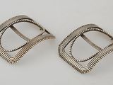 a pair of silver buckles on a white background