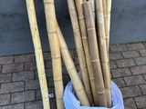 un grand nombre de tiges de bambou dans un sac posé par terre