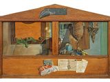 une boîte en bois avec l'image d'un chat à l'intérieur