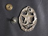 a close up of a metal badge with a star on it