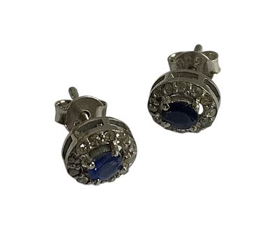 une paire de boucles d'oreilles ornées de pierres bleues sur fond blanc