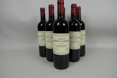 6 bouteilles de Château Mayne Laborie 2019