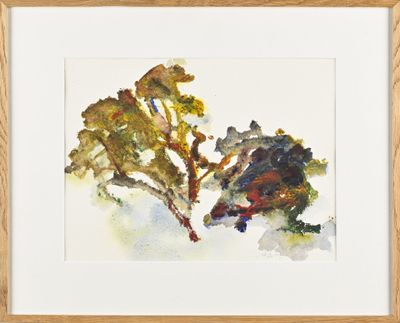 aquarelle encadrée représentant un arbre feuillu et une plante à feuilles