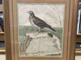 tableau représentant un oiseau perché sur un rocher devant une bibliothèque