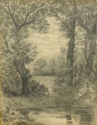 dessin représentant un paysage boisé avec une rivière et des arbres au premier plan