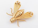 an image of a gold insect brooch with diamonds on it