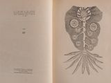 an open book with a drawing of an owl on it