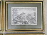 three framed prints of birds on a wall in a gold frame