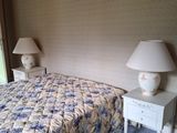 un lit avec une couette à motifs floraux et deux lampes de chaque côté du lit