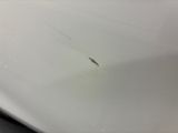 a small bug that is sitting in the sink
