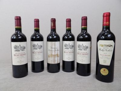 six bouteilles de vin rouge sont alignées sur une table