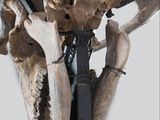 a skeleton hanging on the wall with a knife in it