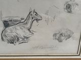 painting of a horse and a dog in a pen and ink drawing