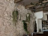 an image of a stone wall with plants growing on it