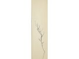an oriental painting of a tree and a bird on a branch