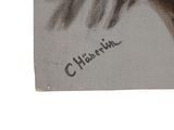 a picture of a painting of a horse with a name on it