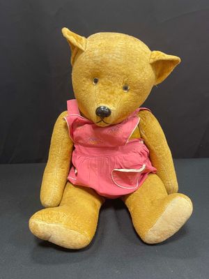 a teddy bear that is wearing a pink dress