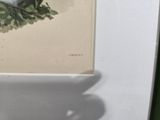 a picture of a bird that is sitting on a branch