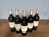 six bottles of wine are lined up on a wooden table