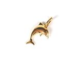 an image of a gold dolphin pendant on a white background