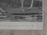 a drawing of a man riding a horse in a field