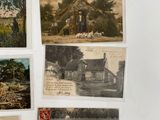 many old photos of people and animals on the wall